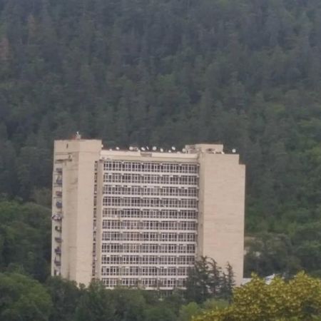 Mtis Kheoba Appartement Bordzjomi Buitenkant foto